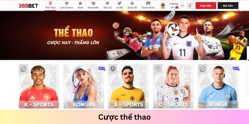 Sảnh cược thể thao nổi bật thu hút đông đảo hội viên trải nghiệm
