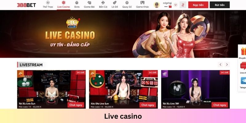 Sảnh live casino với sự hỗ trợ của những cô nàng Dealer xinh đẹp