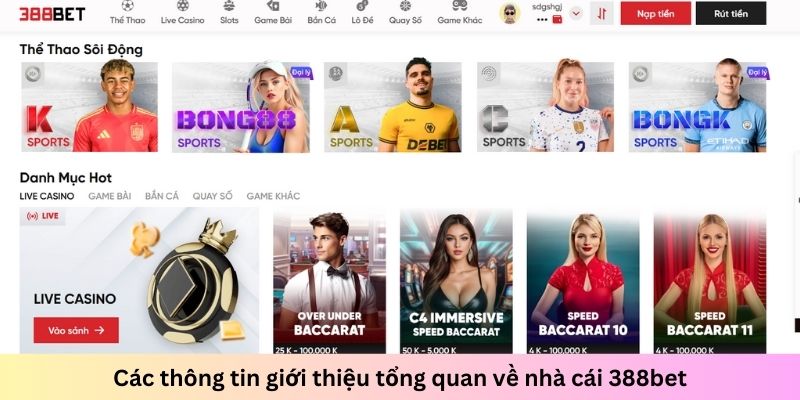 Nhà cái được nhiều cược thủ yêu thích mang lại trải nghiệm chất lượng cho mọi người